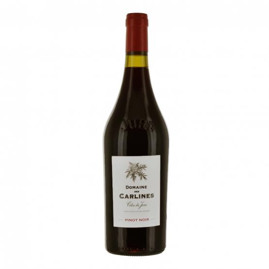 Pinot Noir 2023 Rouge Plaisirs du Vin Plaisirs du Vin FR 456 route de Bordeaux Plaisirs du Vin Plaisirs du Vin Plaisirs du Vin 456 route de Bordeaux Plaisirs du Vin Plaisirs du Vin Plaisirs du Vin Plaisirs du Vin Plaisirs du Vin 456 route de Bordeaux Plaisirs du Vin 456 route de Bordeaux 456 route de Bordeaux