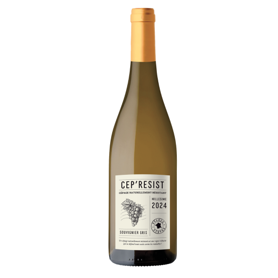 Cep'Resist Blanc 2025 Plaisirs du Vin Plaisirs du Vin FR 456 route de Bordeaux Plaisirs du Vin Plaisirs du Vin Plaisirs du Vin 456 route de Bordeaux Plaisirs du Vin Plaisirs du Vin Plaisirs du Vin Plaisirs du Vin Plaisirs du Vin 456 route de Bordeaux Plaisirs du Vin 456 route de Bordeaux 456 route de Bordeaux