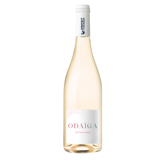Odaïga Blanc 2025 Plaisirs du Vin Plaisirs du Vin FR 456 route de Bordeaux Plaisirs du Vin Plaisirs du Vin Plaisirs du Vin 456 route de Bordeaux Plaisirs du Vin Plaisirs du Vin Plaisirs du Vin Plaisirs du Vin Plaisirs du Vin 456 route de Bordeaux Plaisirs du Vin 456 route de Bordeaux 456 route de Bordeaux